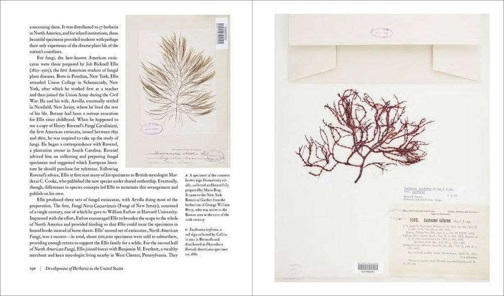 Herbarium
