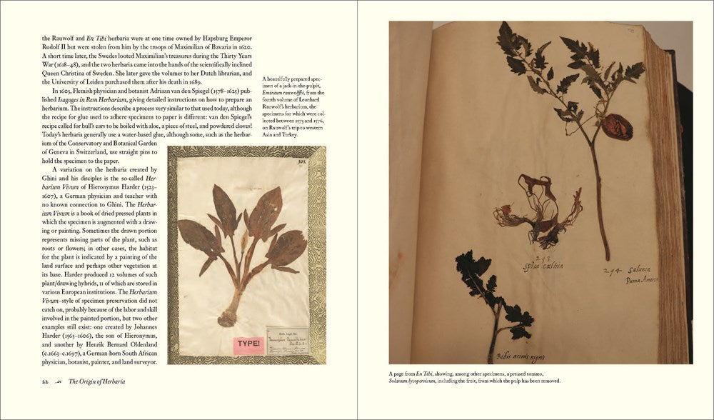 Herbarium