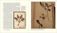 Herbarium