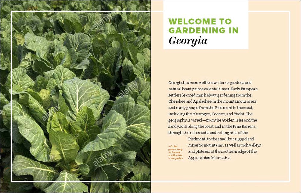 Grow Great Vegetables in Georgia
