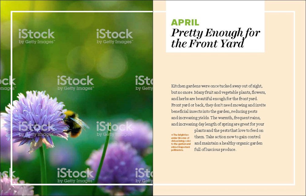 Grow Great Vegetables in Georgia