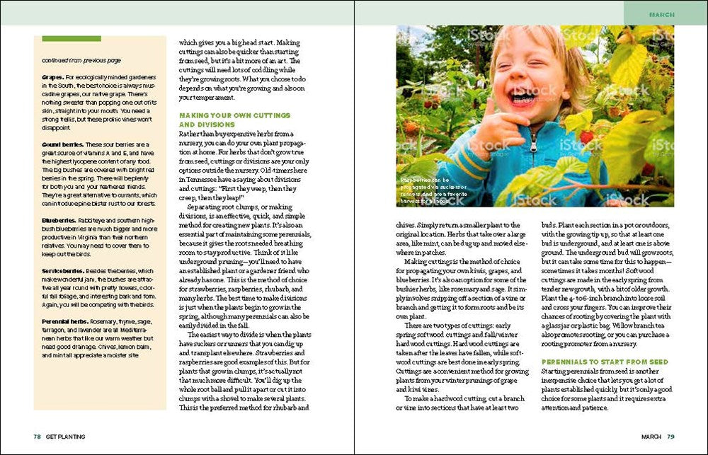 Grow Great Vegetables in Tennessee