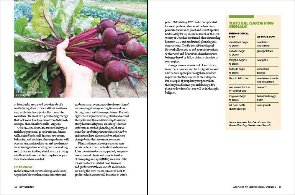 Grow Great Vegetables in Virginia