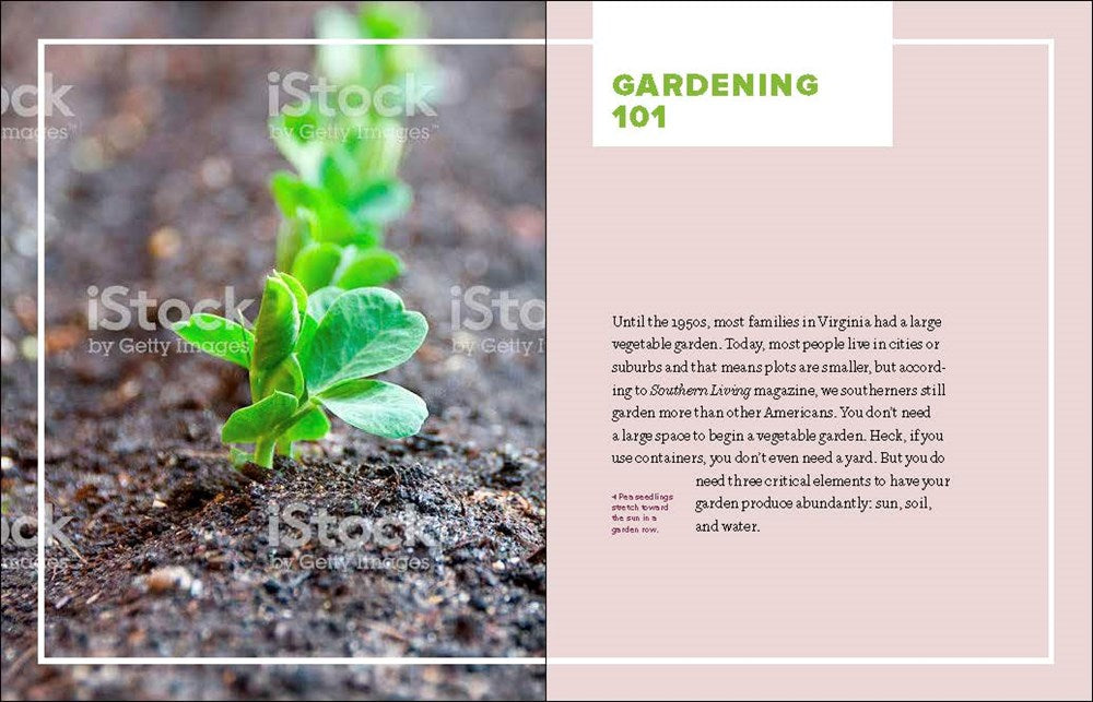 Grow Great Vegetables in Virginia