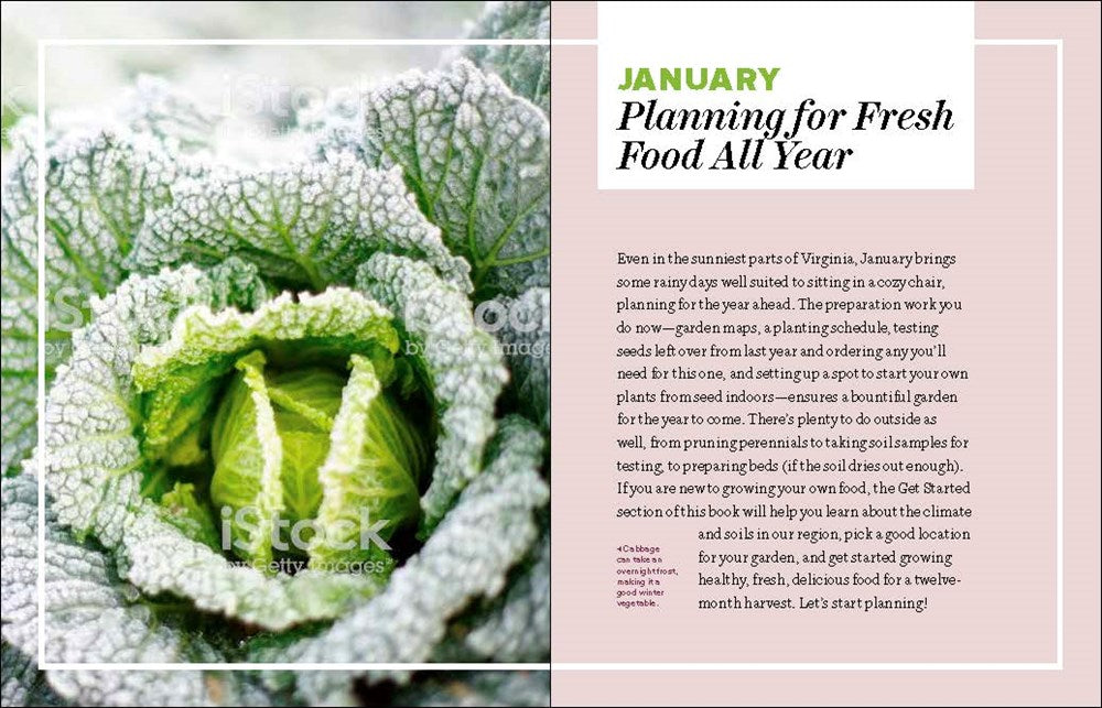 Grow Great Vegetables in Virginia