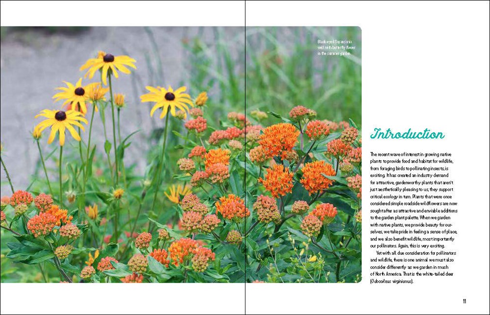 Deer-Resistant Native Plants for the Northeast