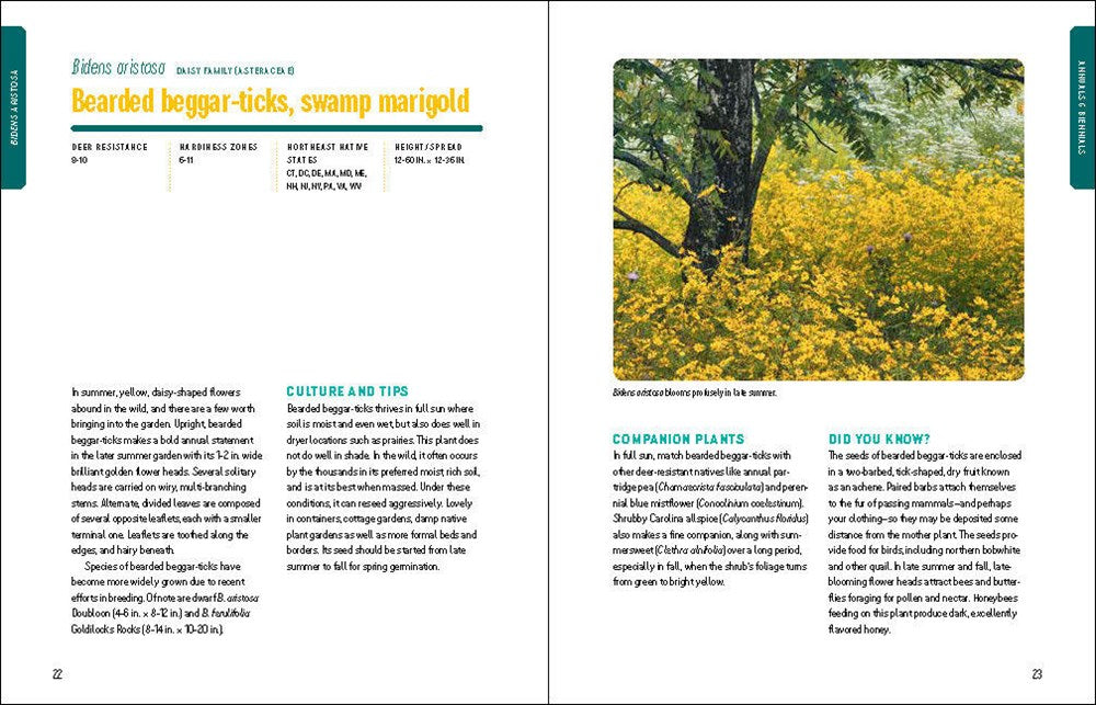 Deer-Resistant Native Plants for the Northeast