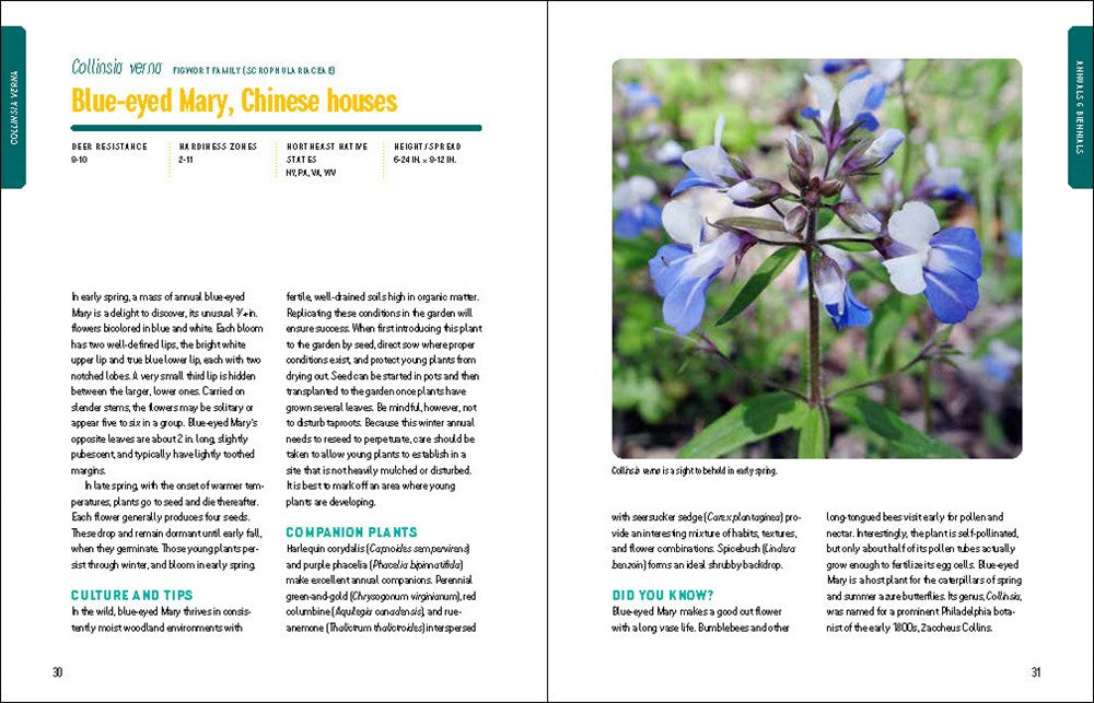 Deer-Resistant Native Plants for the Northeast