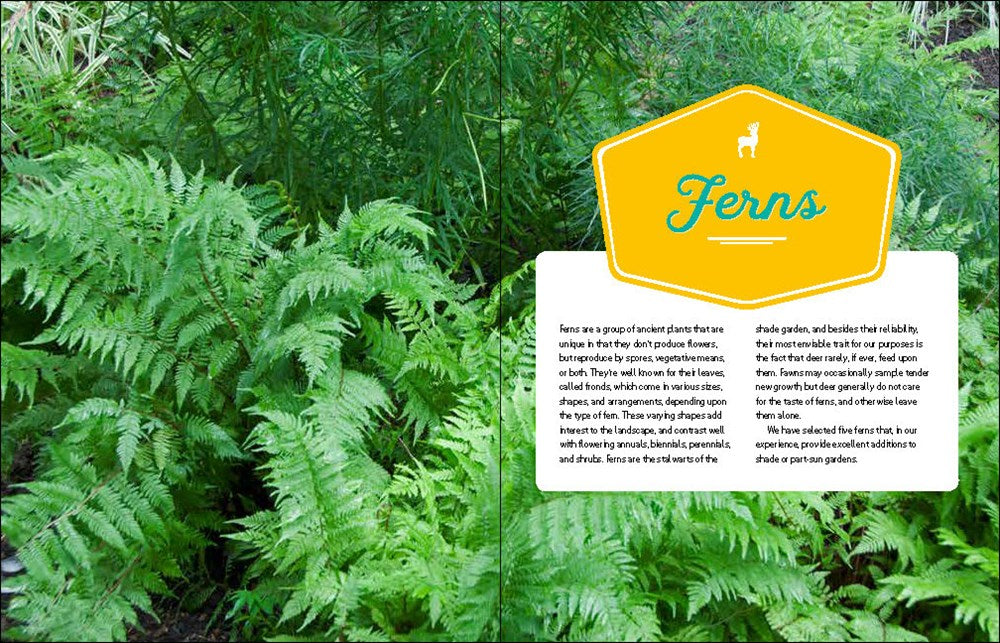 Deer-Resistant Native Plants for the Northeast