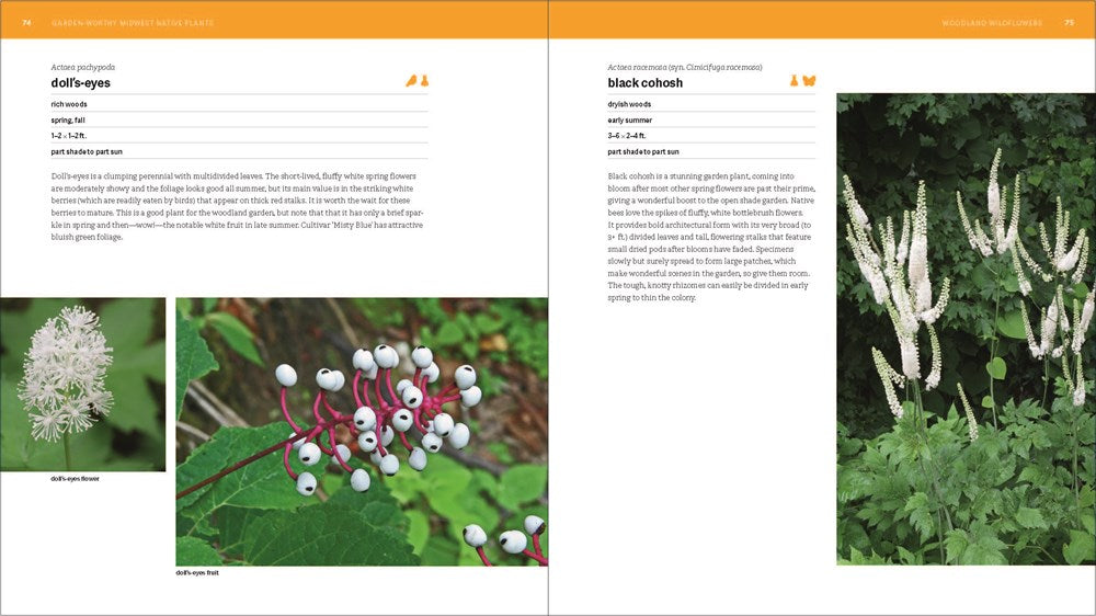 The Southeast Native Plant Primer