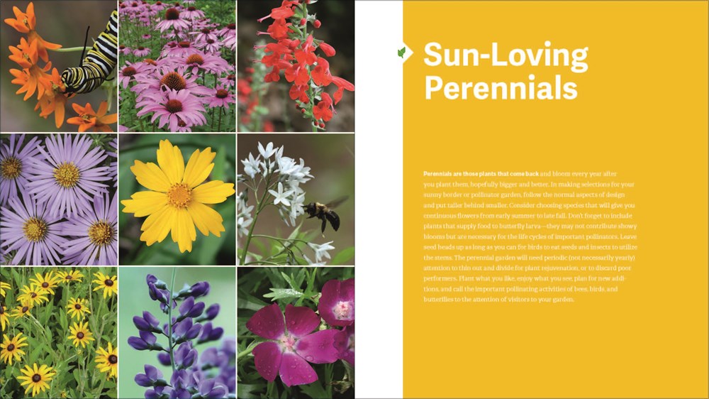 The Southeast Native Plant Primer