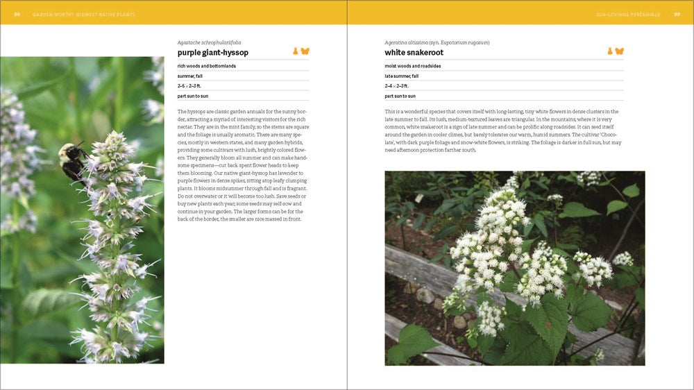 The Southeast Native Plant Primer