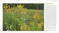 The Southeast Native Plant Primer