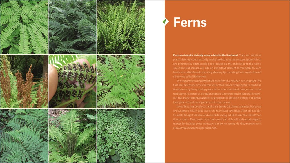 The Southeast Native Plant Primer