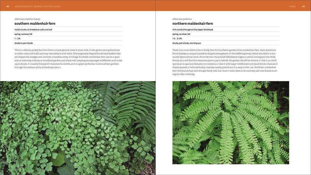 The Southeast Native Plant Primer