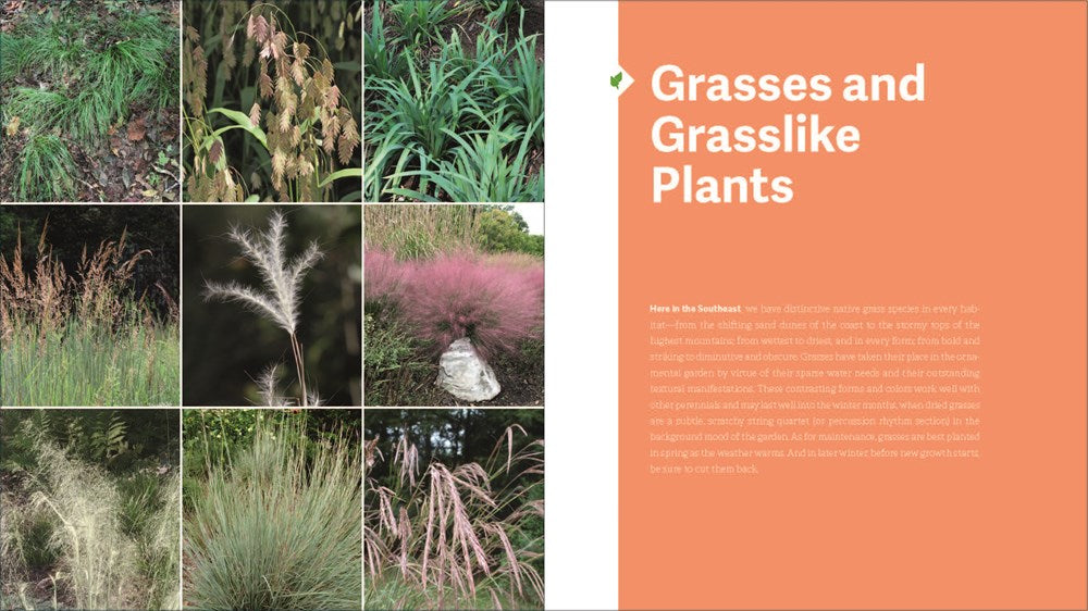 The Southeast Native Plant Primer