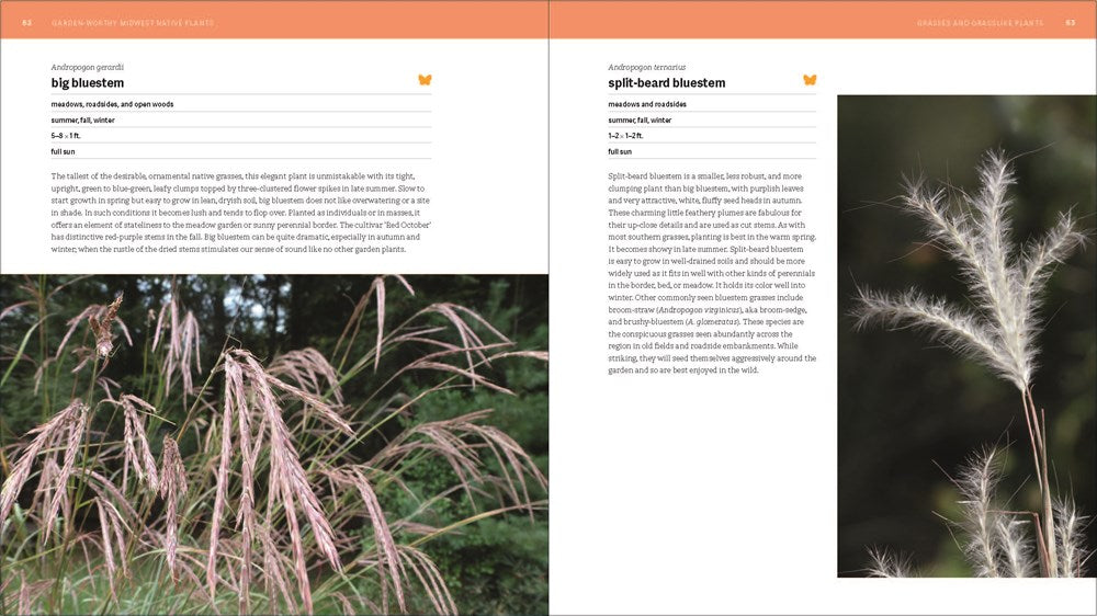 The Southeast Native Plant Primer