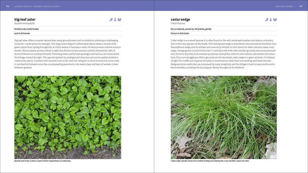 The Midwest Native Plant Primer