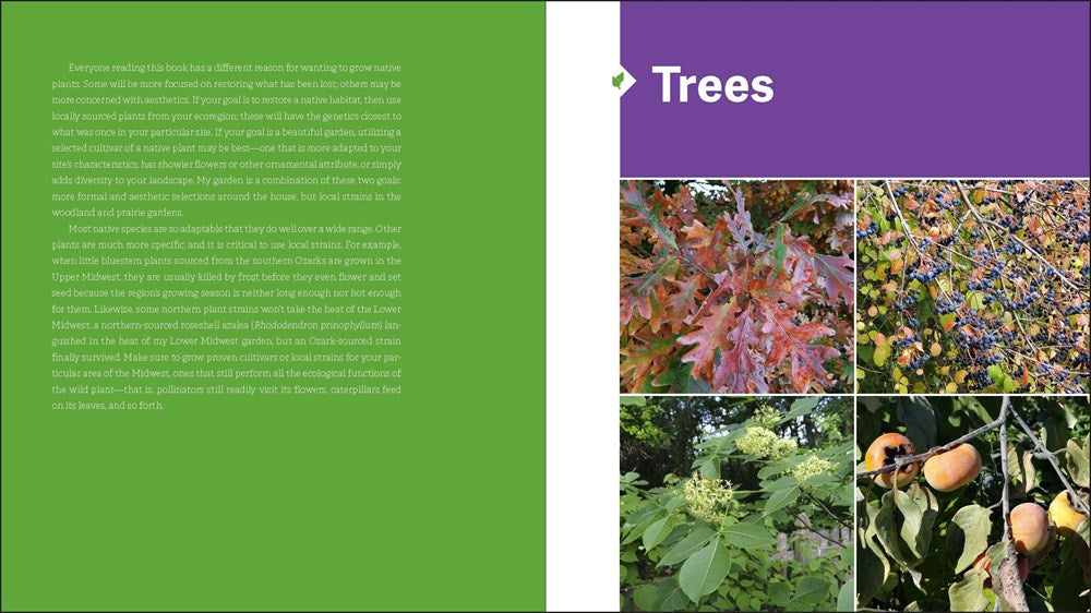 The Midwest Native Plant Primer