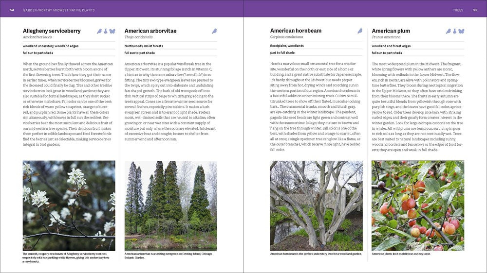 The Midwest Native Plant Primer