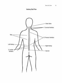 The Reiki Teacher's Manual - Second Edition