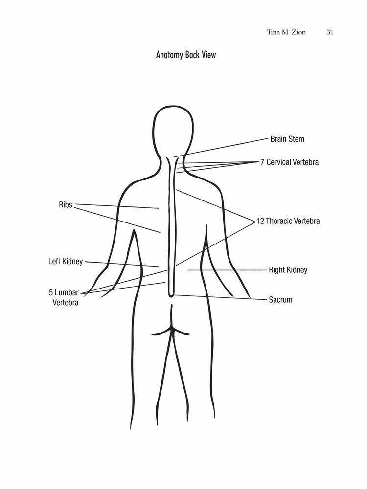 The Reiki Teacher's Manual - Second Edition