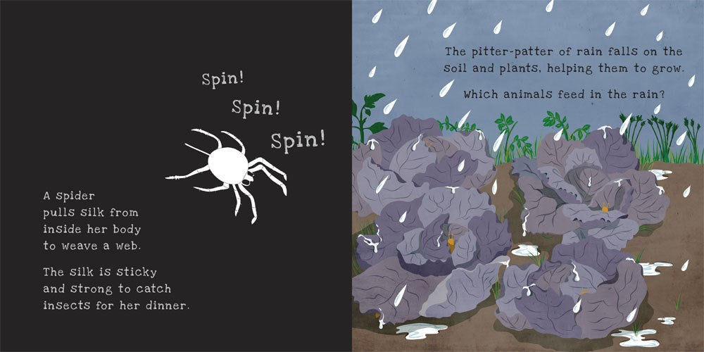 Secrets of the Vegetable Garden