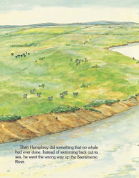 Humphrey the Lost Whale