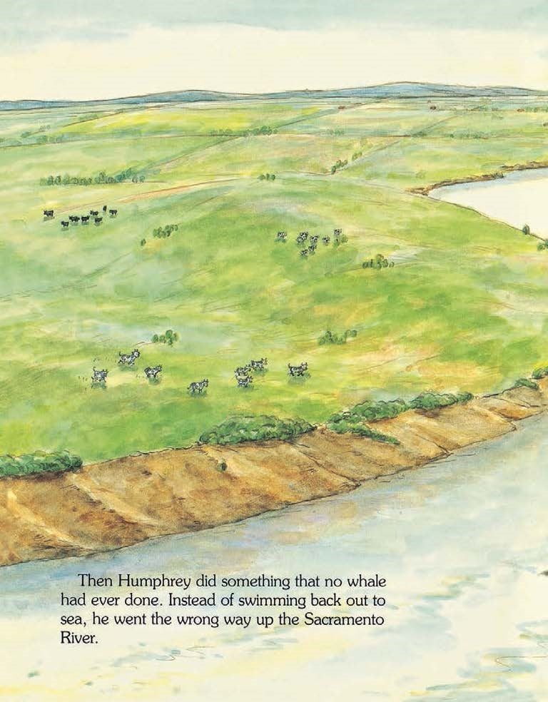 Humphrey the Lost Whale