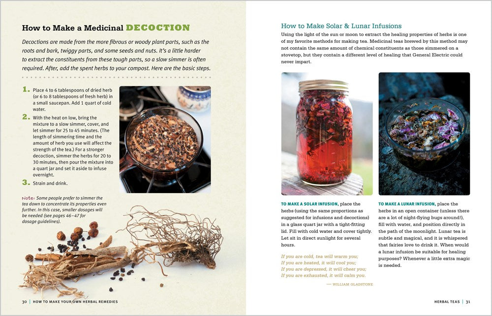 Rosemary Gladstar's Medicinal Herbs: A Beginner's Guide