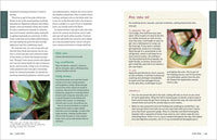 Rosemary Gladstar's Medicinal Herbs: A Beginner's Guide