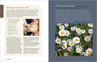 Rosemary Gladstar's Medicinal Herbs: A Beginner's Guide