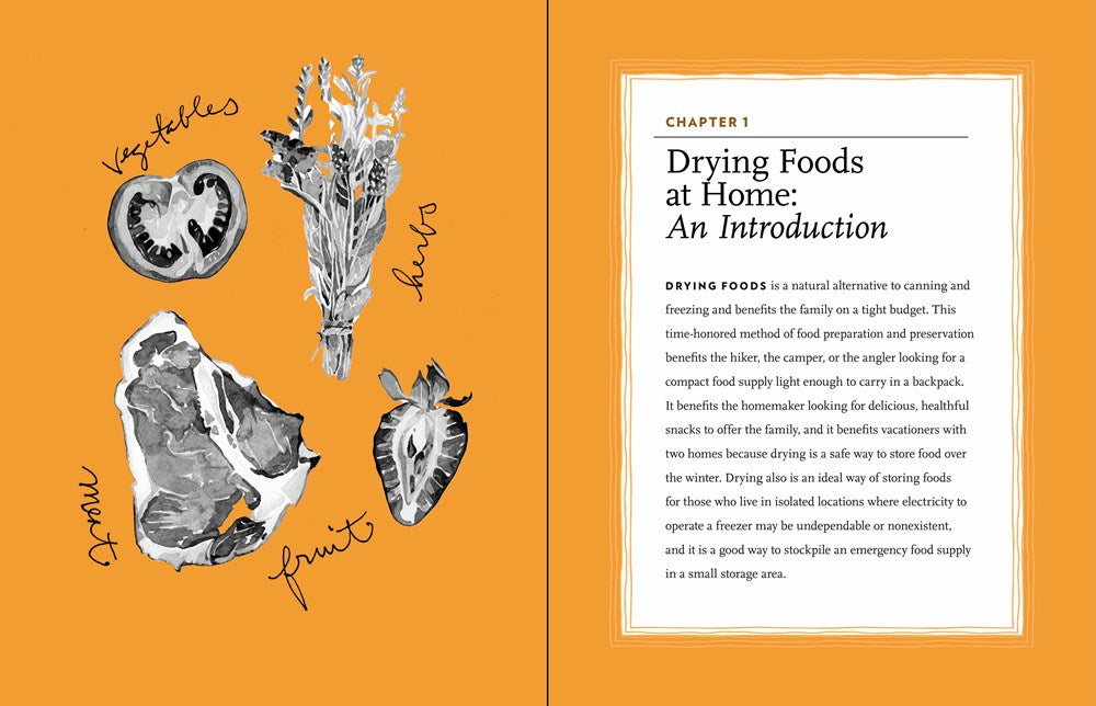 The Beginner's Guide to Making and Using Dried Foods