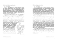 Herbs for Children's Health: How to Make and Use Gentle Herbal Remedies for Soothing Common Ailments. A Storey BASICS® Title (2nd Edition, Revised)