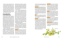 Rosemary Gladstar's Herbal Healing for Men