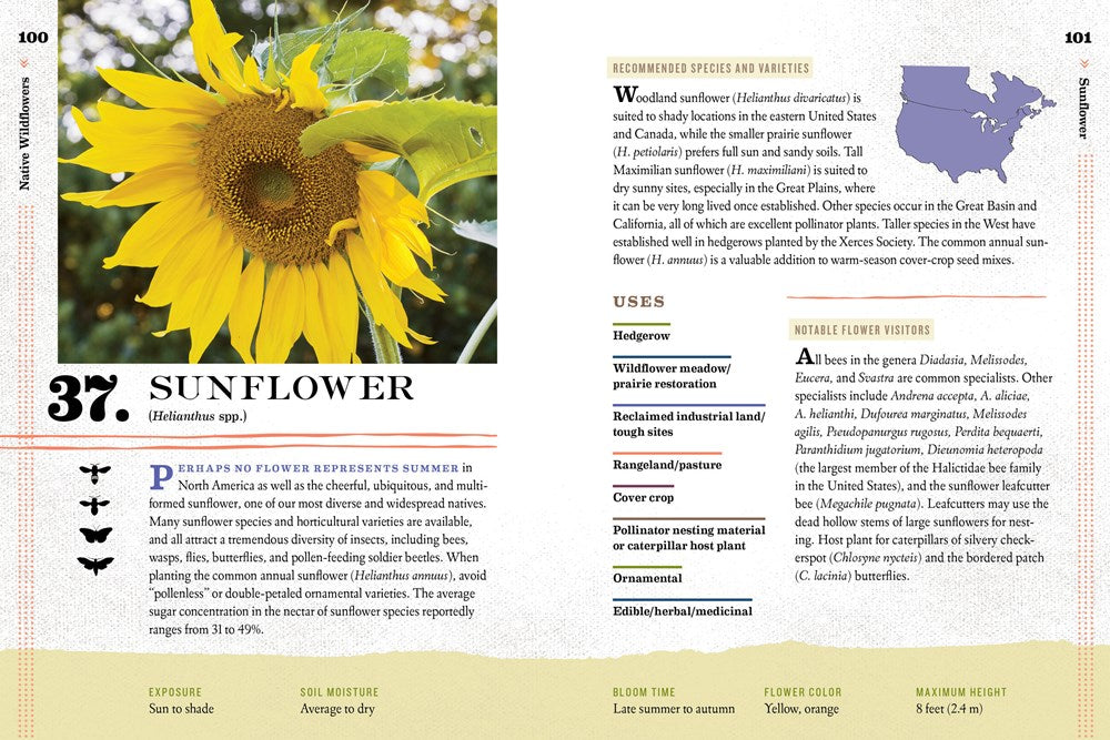 100 Plants to Feed the Bees