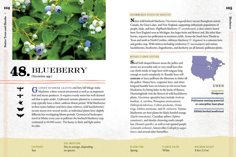 100 Plants to Feed the Bees