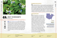 100 Plants to Feed the Bees