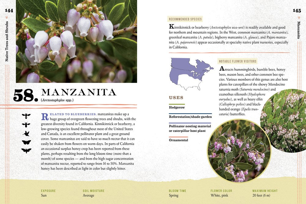 100 Plants to Feed the Bees