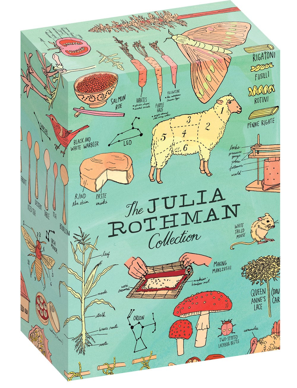 The Julia Rothman Collection: Farm Anatomy, Nature Anatomy, and Food Anatomy