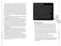 Worms Eat My Garbage, 35th Anniversary Edition