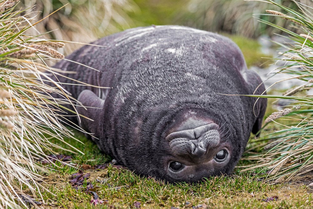 Marine Science for Kids