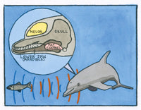 Marine Science for Kids