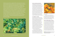 Your Brain on Plants