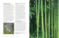 Your Brain on Plants