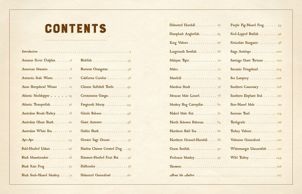 A Curious Collection of Peculiar Creatures