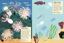 At the Seashore: My Nature Sticker Activity Book (Ages 5 and up, with 120 stickers, 24 activities and 1 quiz)