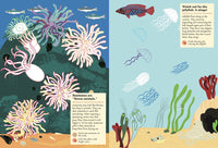 At the Seashore: My Nature Sticker Activity Book (Ages 5 and up, with 120 stickers, 24 activities and 1 quiz)