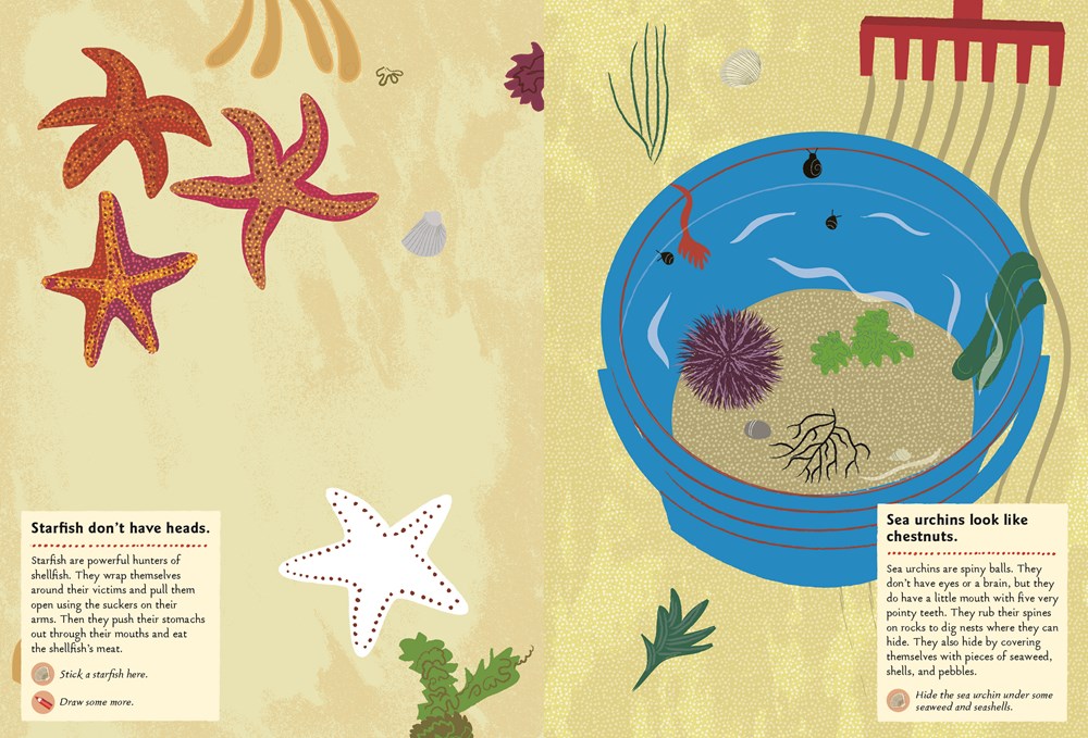 At the Seashore: My Nature Sticker Activity Book (Ages 5 and up, with 120 stickers, 24 activities and 1 quiz)
