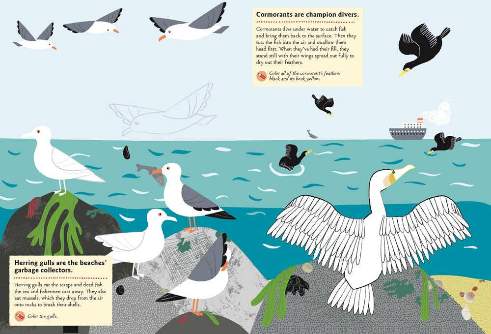 At the Seashore: My Nature Sticker Activity Book (Ages 5 and up, with 120 stickers, 24 activities and 1 quiz)